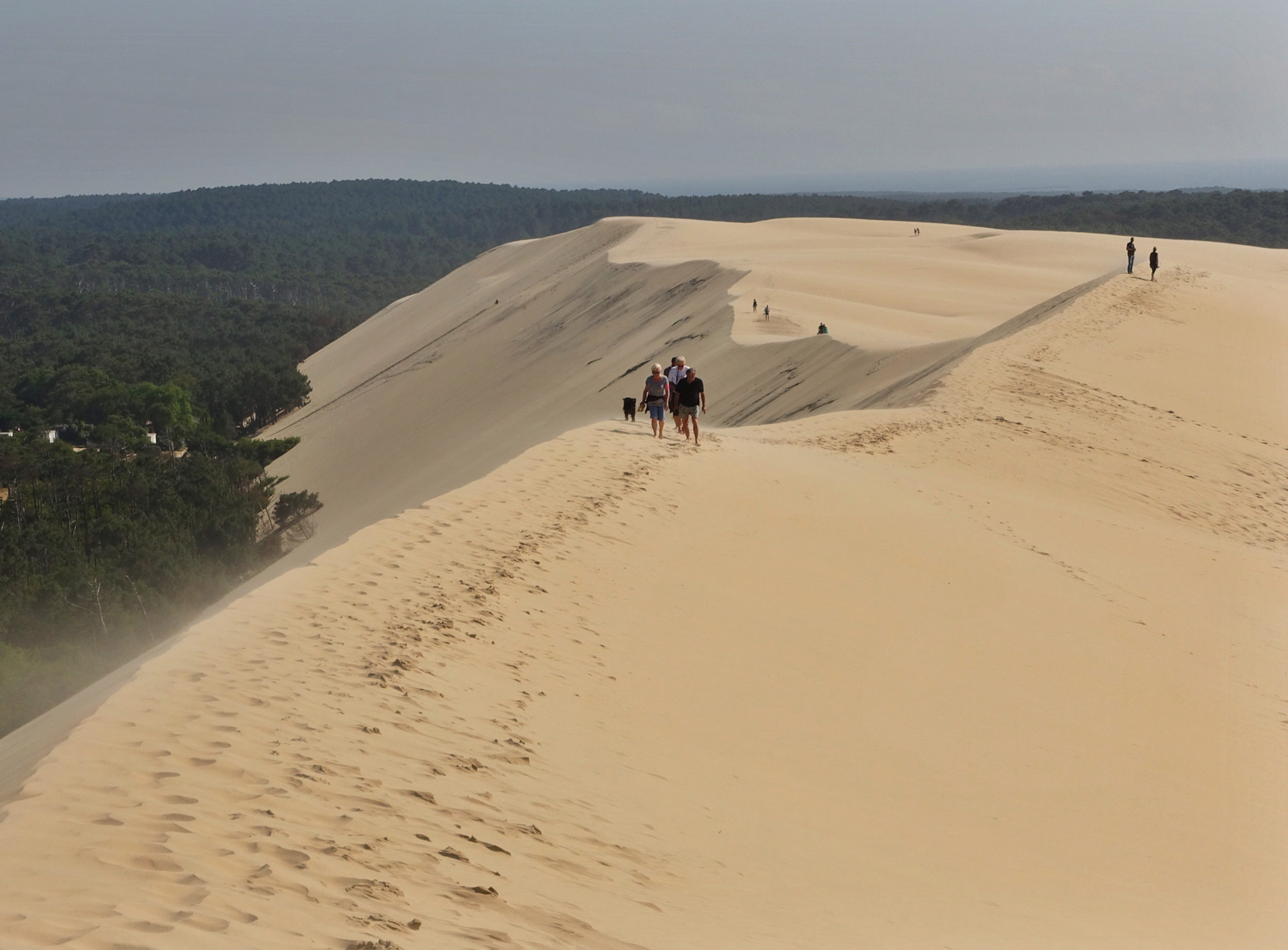 Dune du Pilat ridge